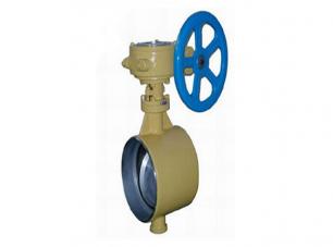 焊接保溫(wen)蝶閥